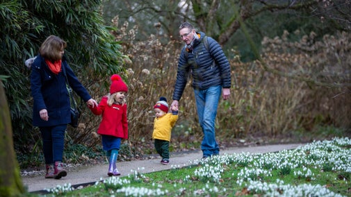 Visitors walking along a path in the Winter Gardenat Dunham Massey, Cheshire